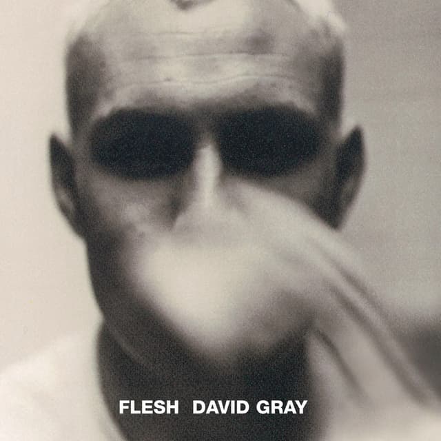 Flesh album cover