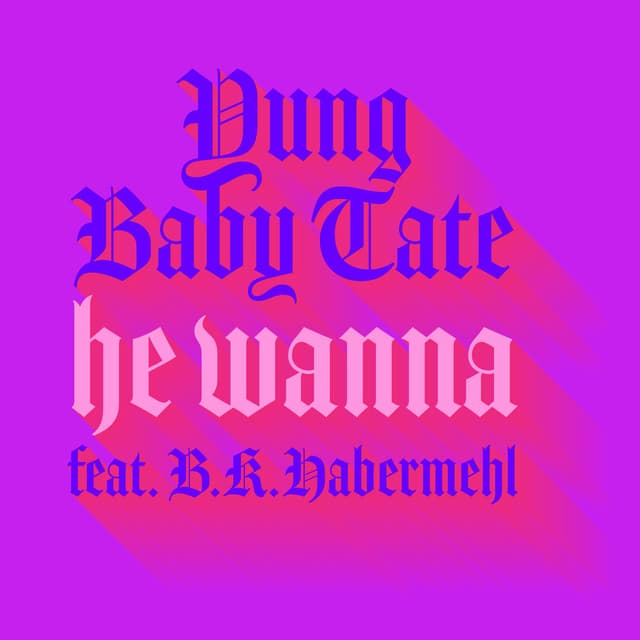 He Wanna (feat. b.kae) cover