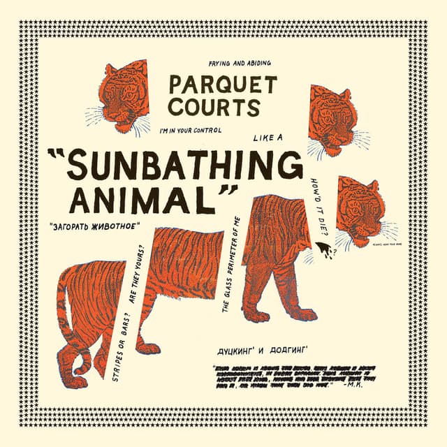 Sunbathing Animal album cover