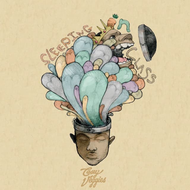 Sleeping in Class album cover
