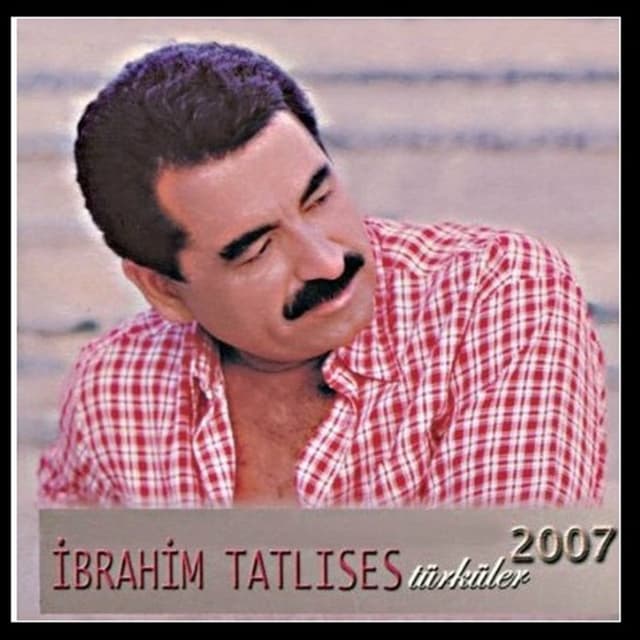 Türküler 2007 cover