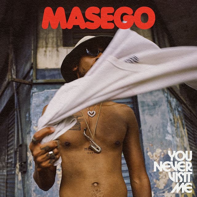 You Never Visit Me (Single Version) cover