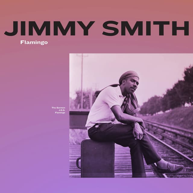 Flamingo cover