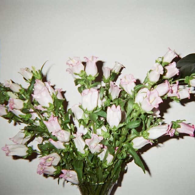 Drip cover