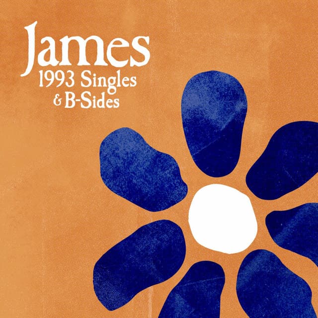 1993 Singles & B-Sides cover