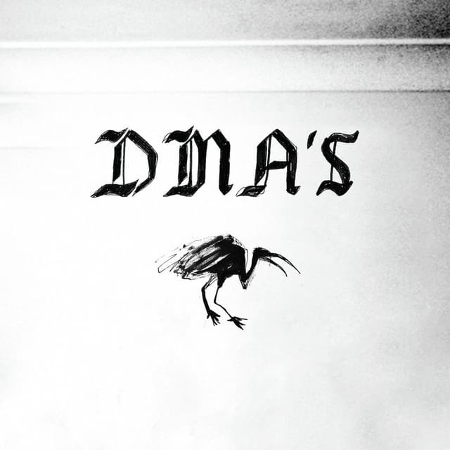 DMA's cover