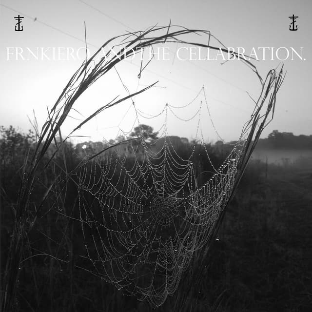 Weighted album cover