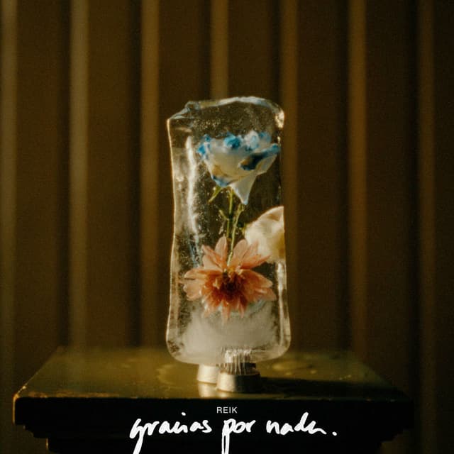 Gracias por Nada cover