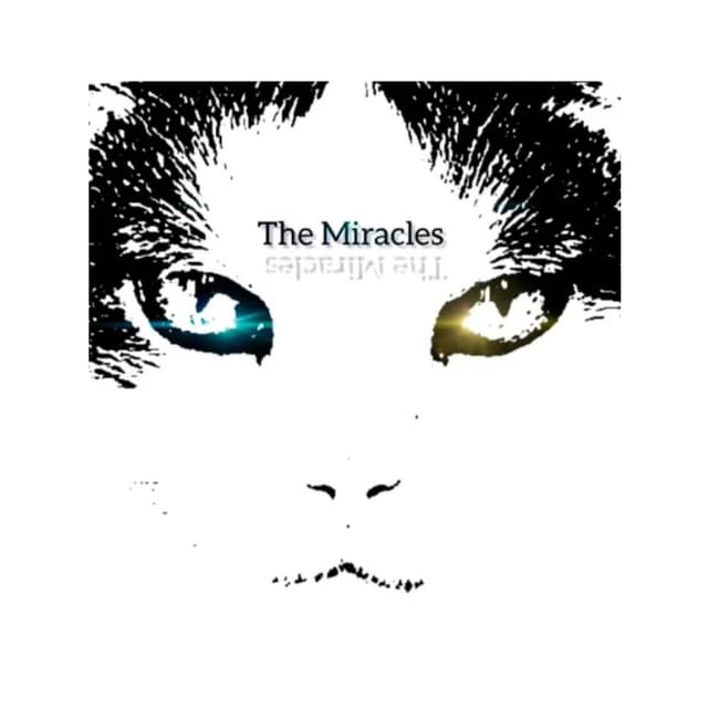 New Age Paradise cover