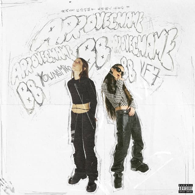 Aprovechame BB cover