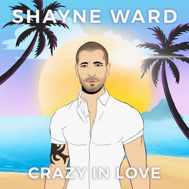 CRAZY IN LOVE cover
