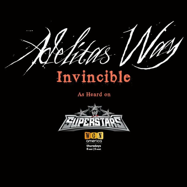 Invincible (WWE Superstars Theme Song) cover