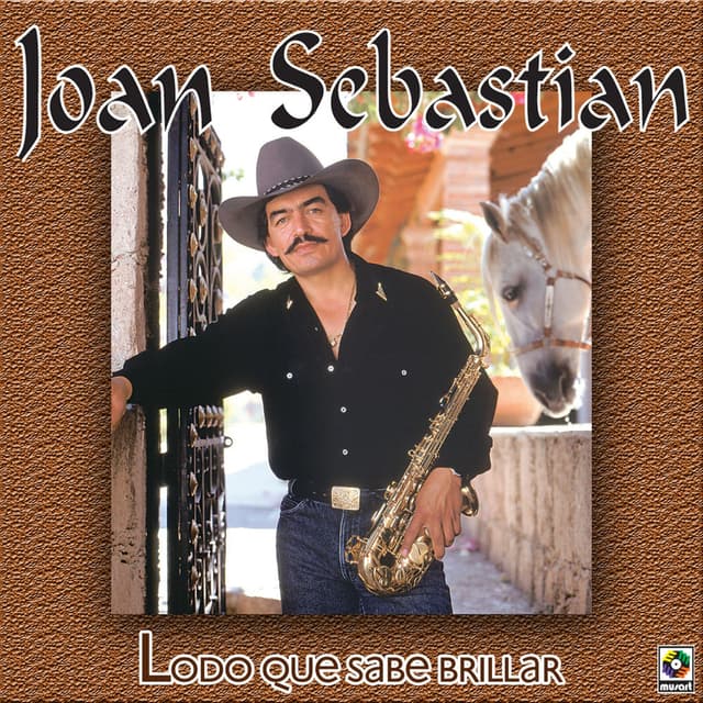 Lodo que sabe brillar cover
