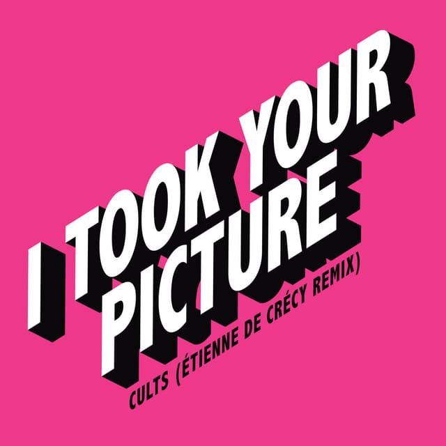 I Took Your Picture (Étienne de Crécy Remix) cover