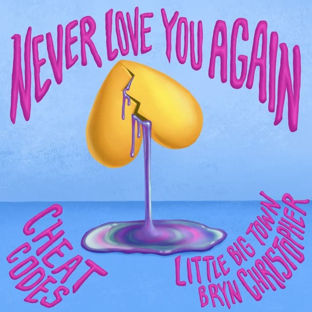 Never Love You Again cover