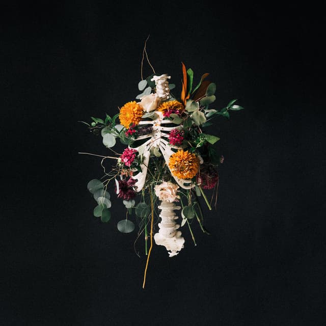 RATTLE! (Live) album cover