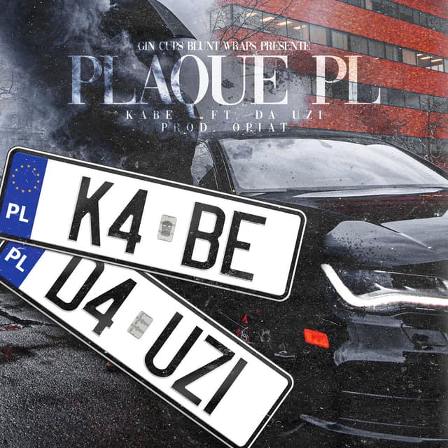 Plaque PL cover