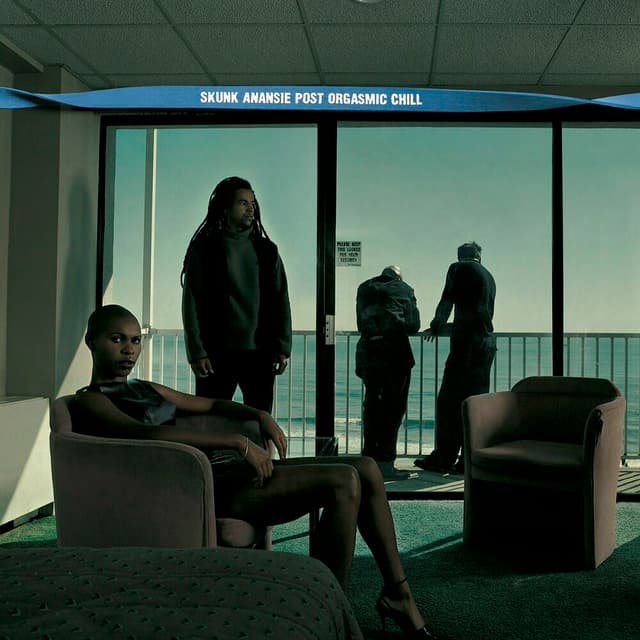 Post Orgasmic Chill album cover