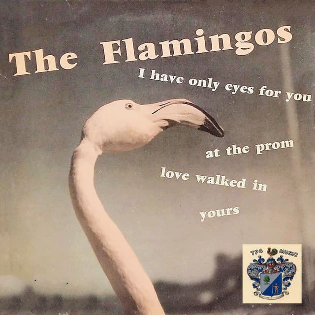 The Flamingos cover