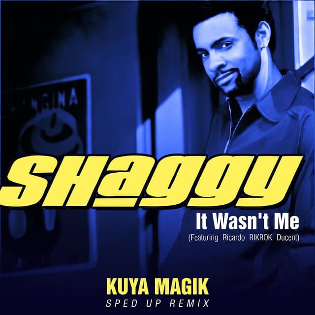 It Wasn't Me (Sped Up) cover