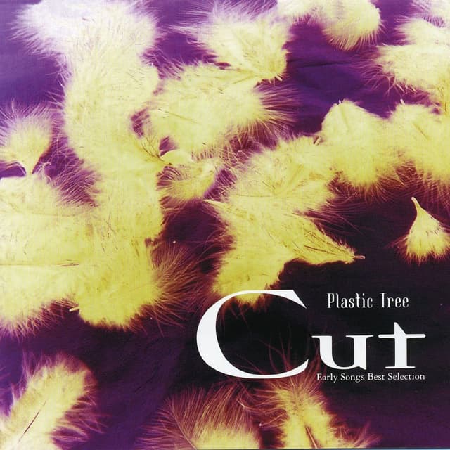 Cut cover