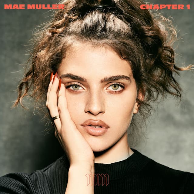 Chapter 1 cover