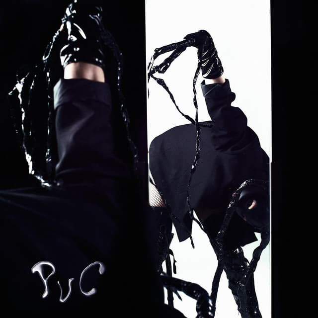 PVC cover