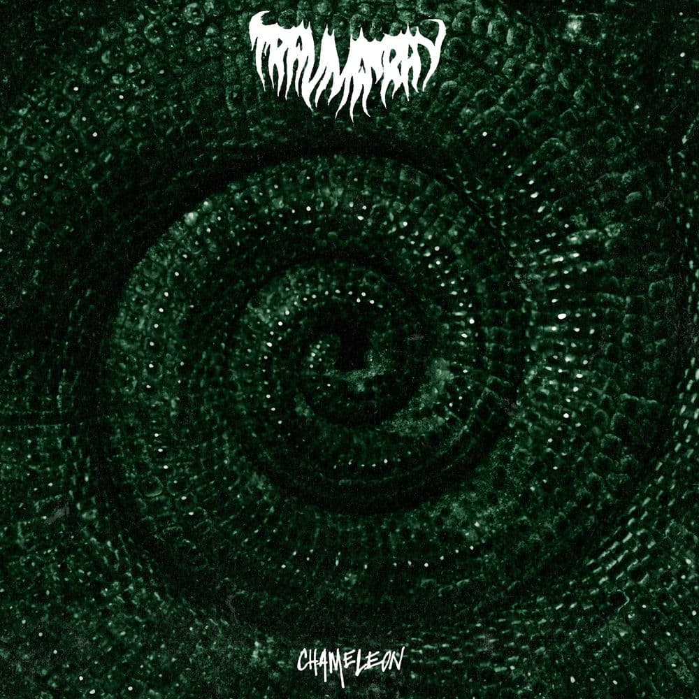 Chameleon cover