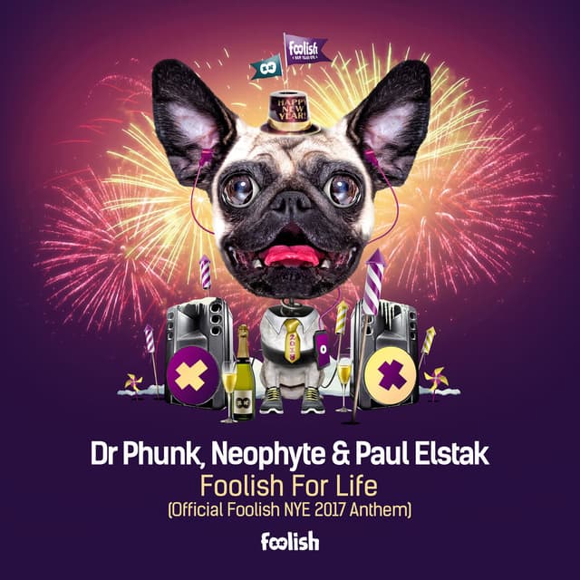 Foolish For Life (Official Foolish NYE 2017 Anthem) (Radio Edit) cover