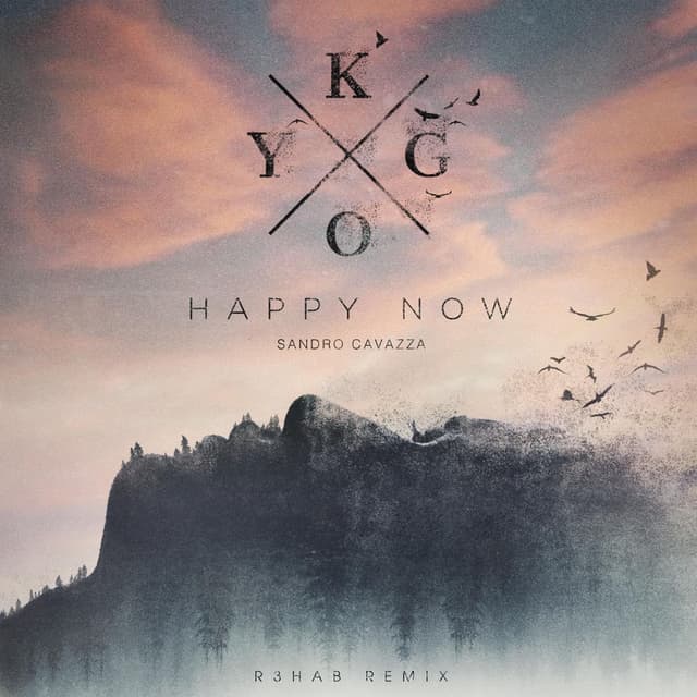 Happy Now (R3HAB Remix) cover