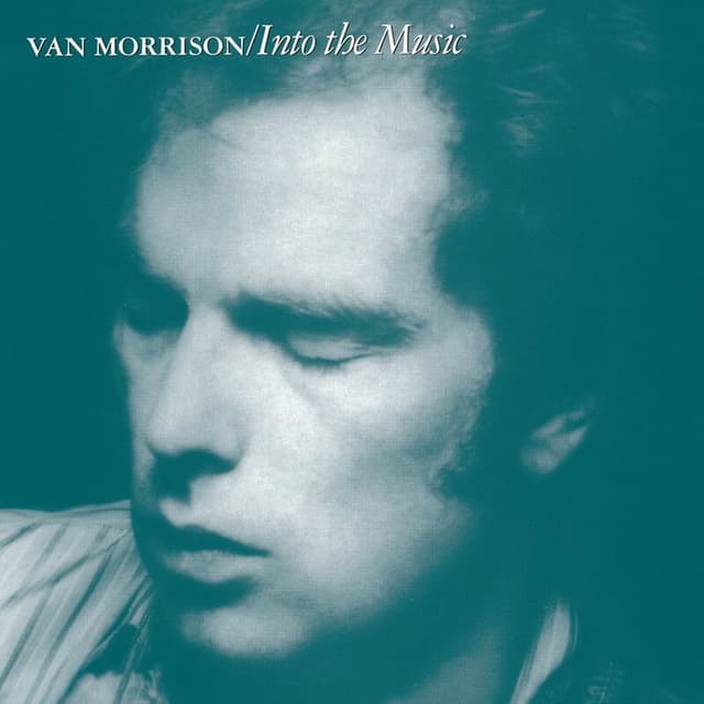 Into the Music cover