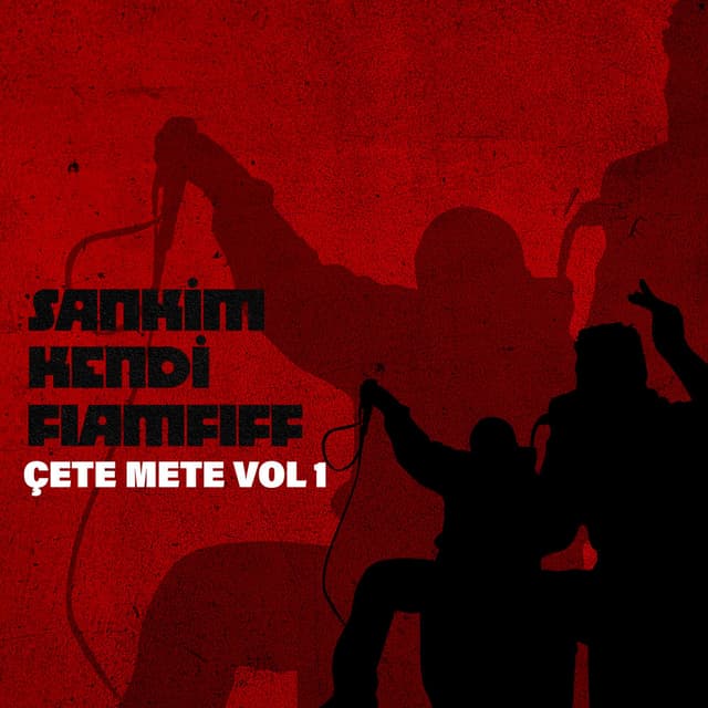Sankim Kendi Fıamfıff (Vol. 1) cover