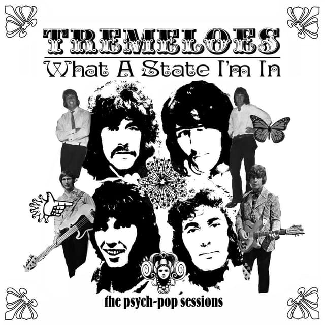 What A State I'm In: The Psych-Pop Sessions cover