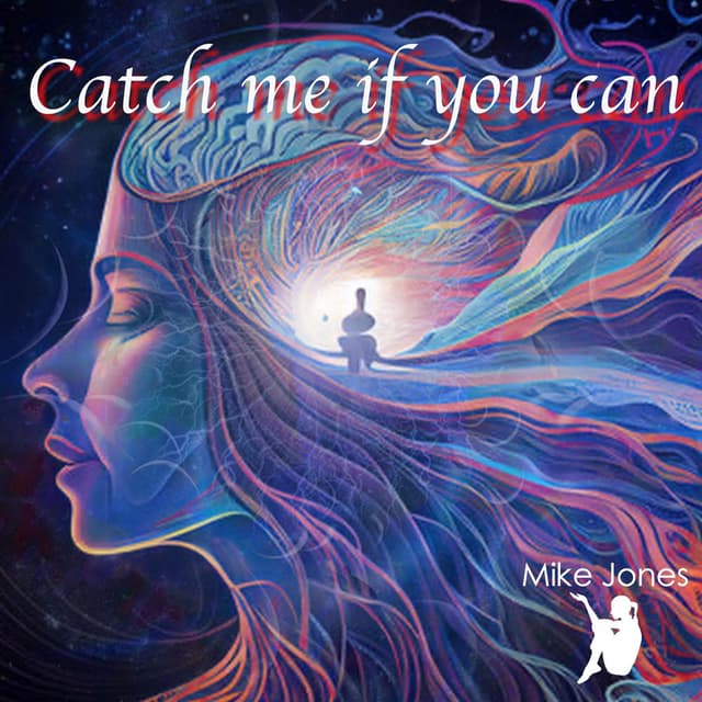 Catch Me If You Can cover