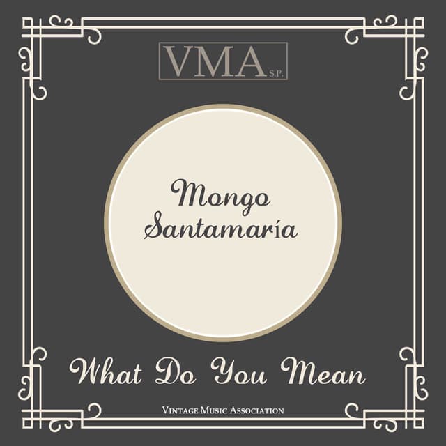 What Do You Mean cover