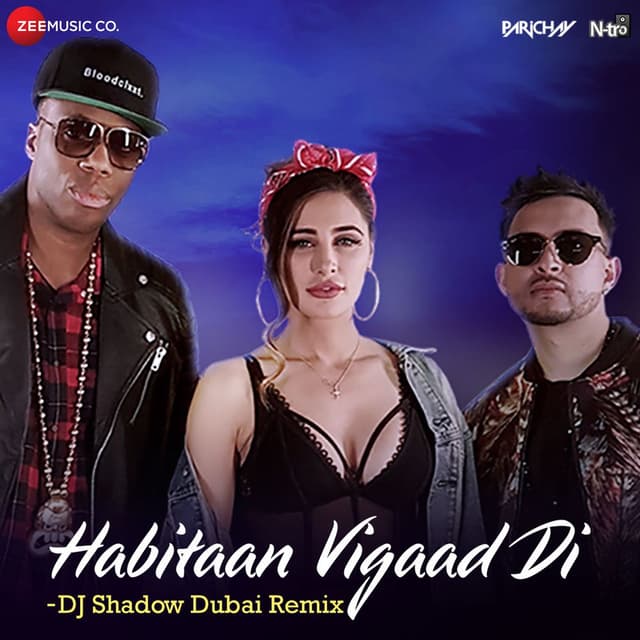 Habitaan Vigaad Di (DJ Shadow Dubai Remix) cover