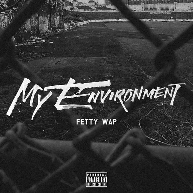 My Environment cover