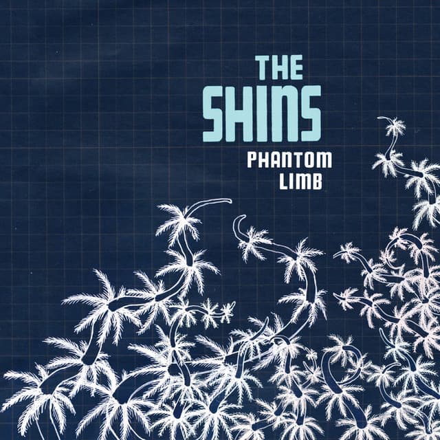 Phantom Limb cover
