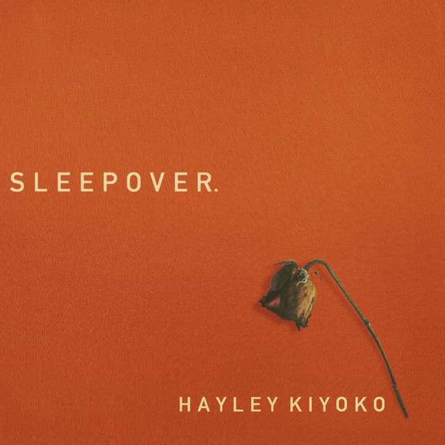 Sleepover cover