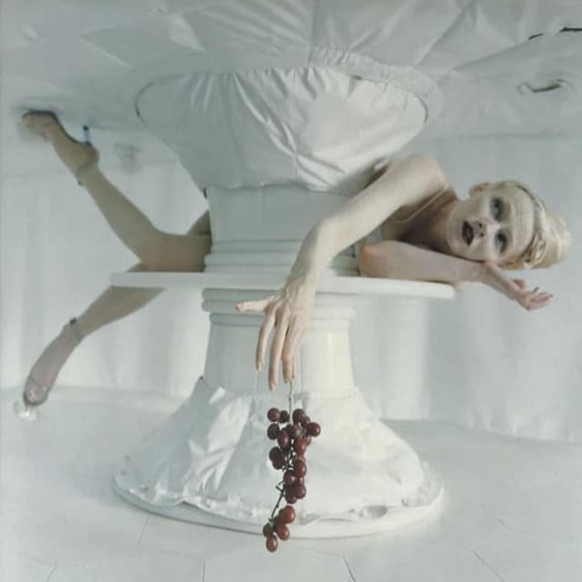 Milk cover