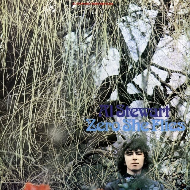Zero She Flies cover