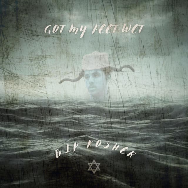 Got My Feet Wet cover