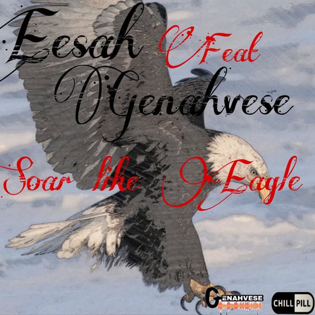 Soar Like Eagle cover