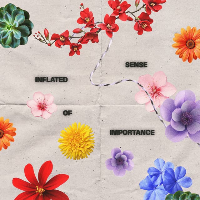 Inflated Sense of Importance cover