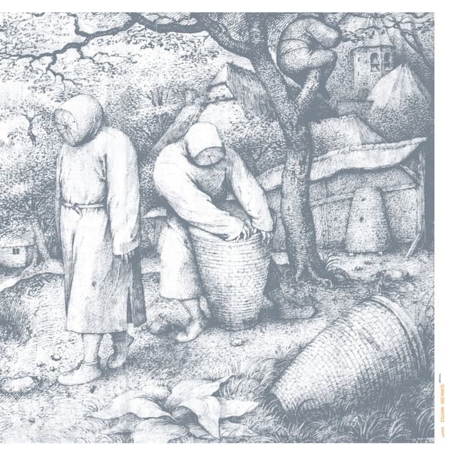 White2 cover