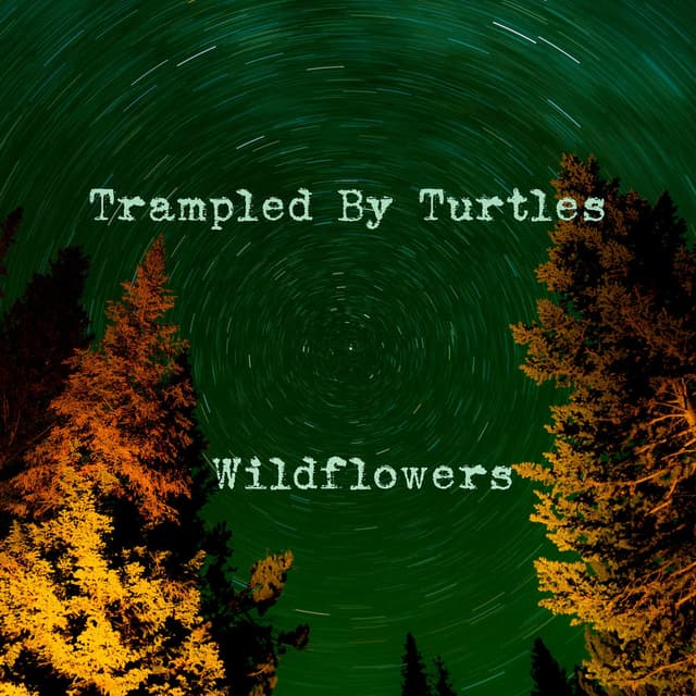 Wildflowers cover