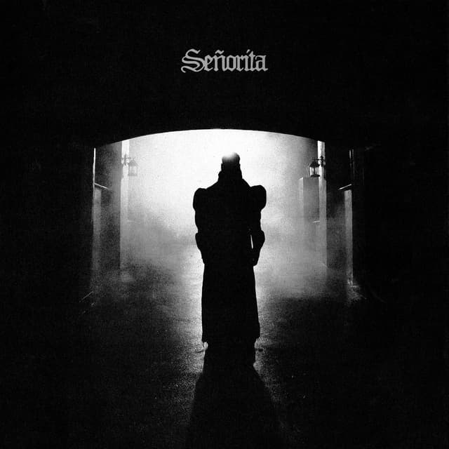 Señorita cover