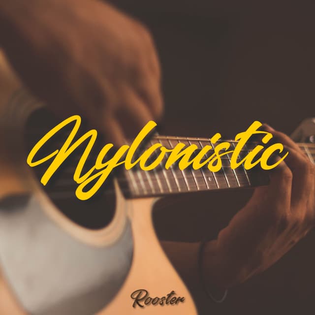 Nylonistic cover