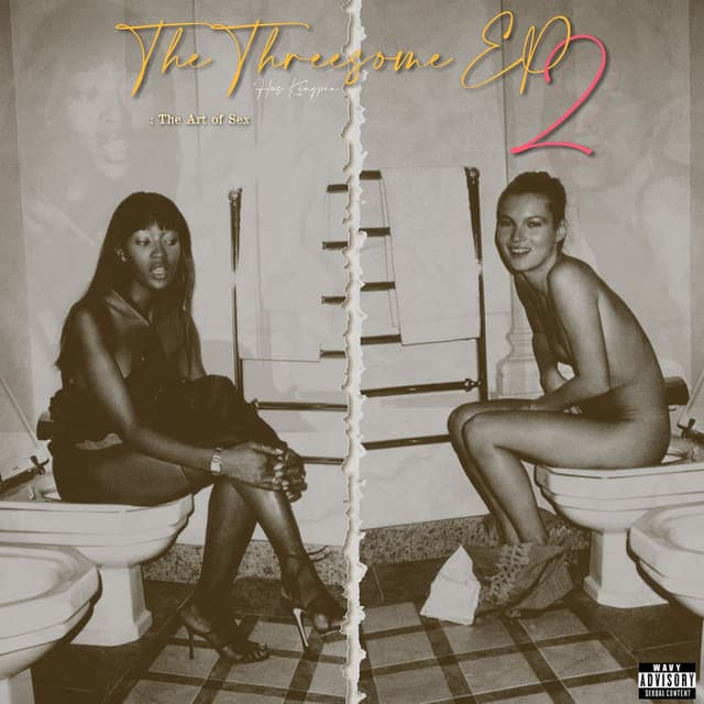 Threesome 2: The Art of Sex cover