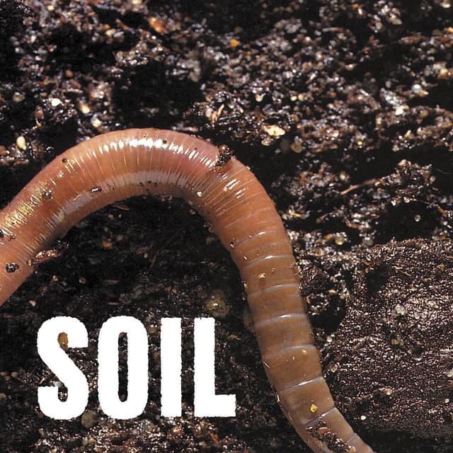 SOiL - EP cover